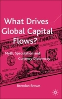 What Drives Global Capital Flows?: Myth, Speculation and Currency Diplomacy артикул 10384b.